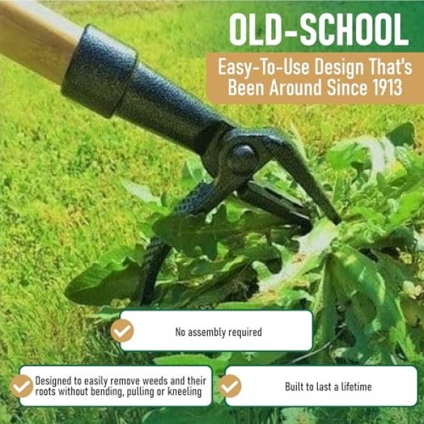 Grampa's Weeder - The Original Stand Up Weed Puller Tool with Long Handle - Made with Real Bamboo & 4-Claw Steel Head Design - Easily Remove Weeds Without Bending, Pulling, or Kneeling. - Image 6
